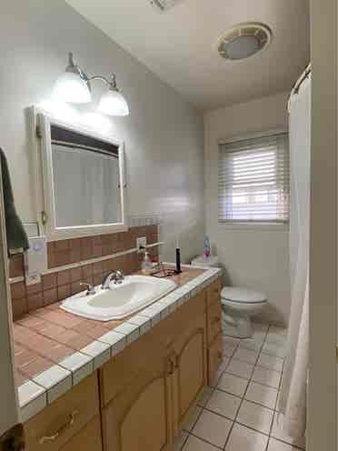 Roommate Wanted! (Palms)