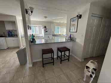 Roommate needed