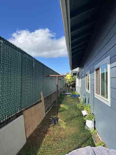 Roommate needed