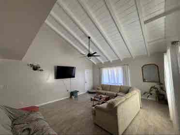 Roommate needed