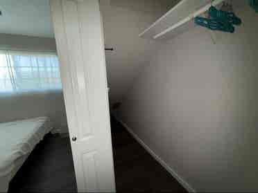 Roommate needed