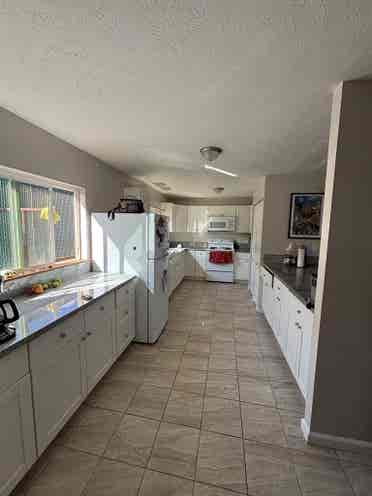 Roommate needed