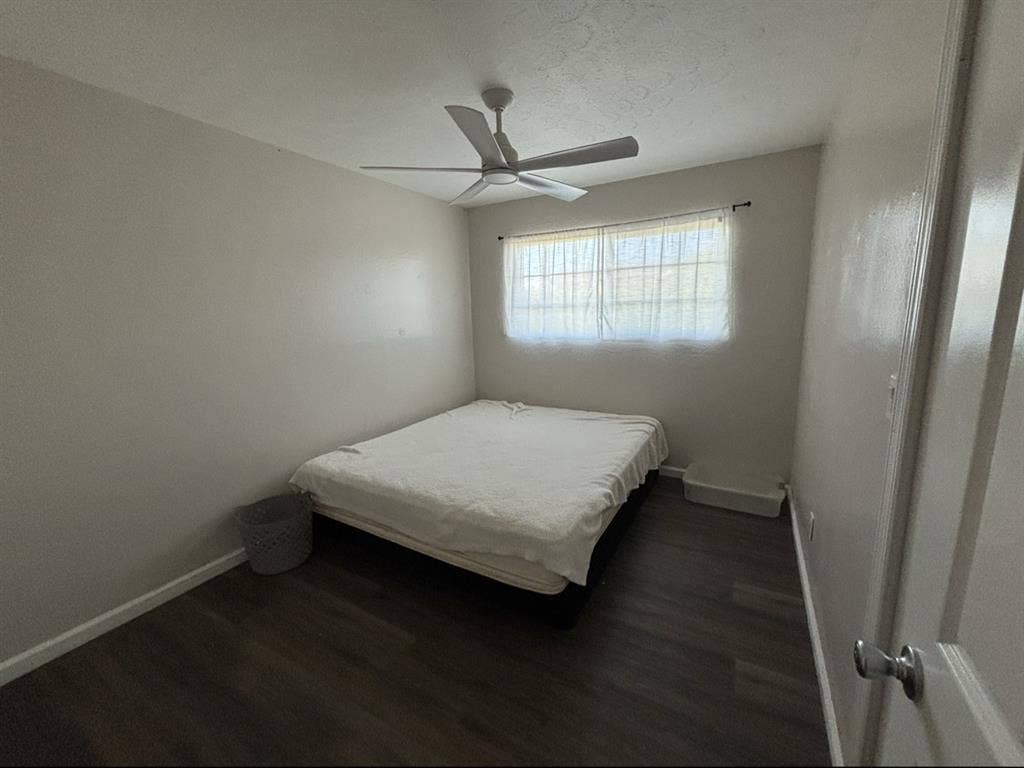 Roommate needed