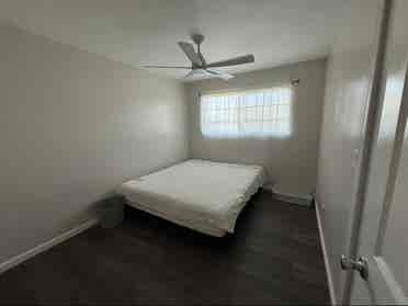 Roommate needed