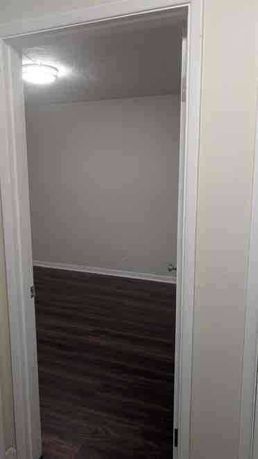 Queer friendly housing-- room avail