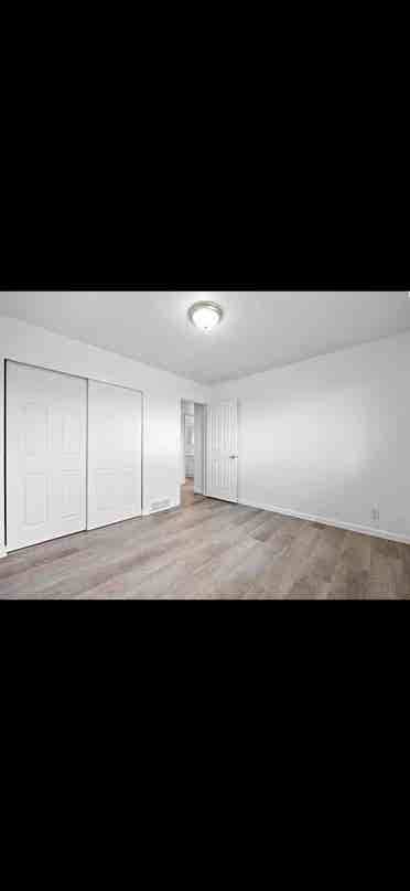 Roomate wanted