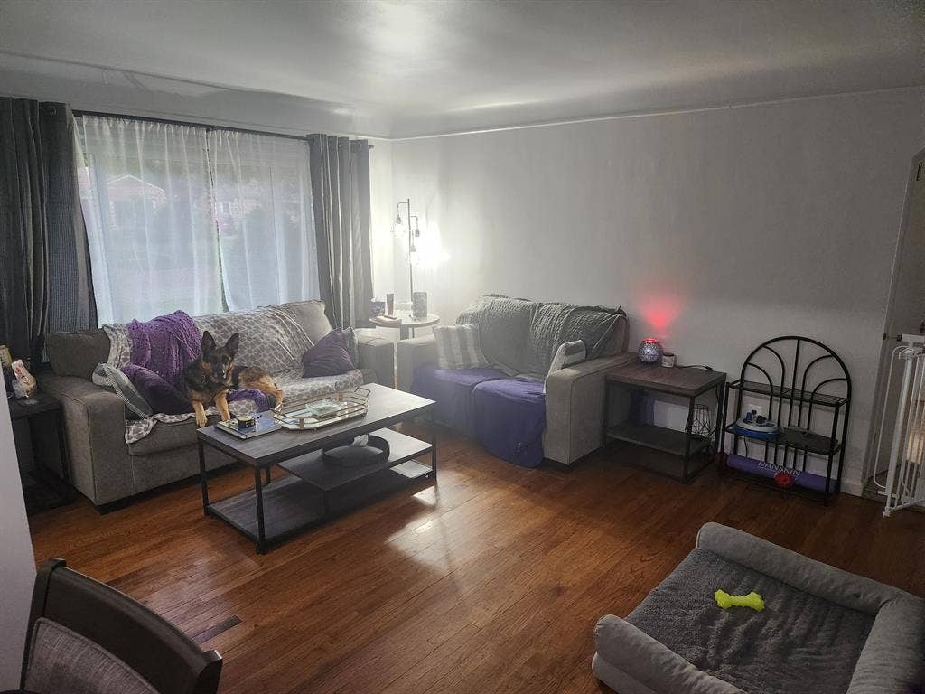 Room for rent