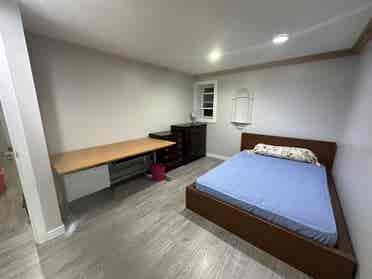 Looking for a female roommate