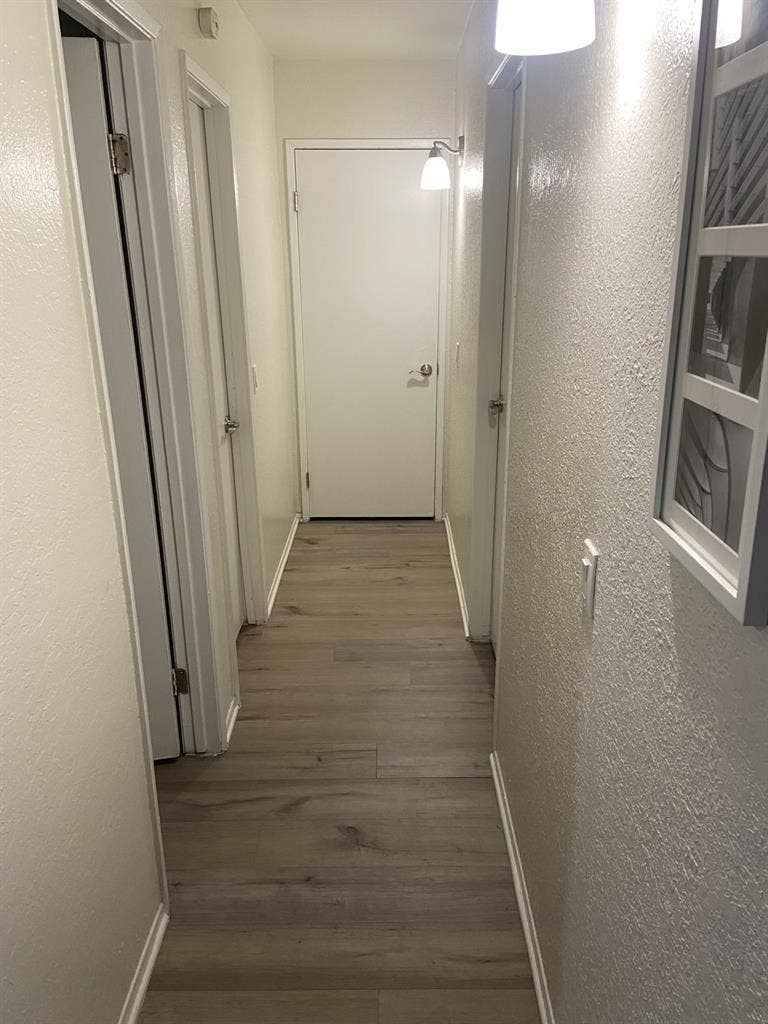 Looking for a female roommate