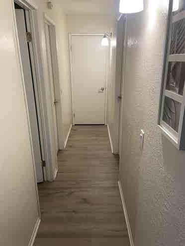 Looking for a female roommate