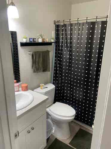 Looking for a female roommate