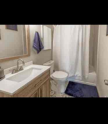Furnished Condo