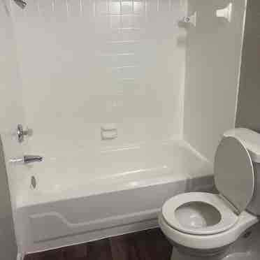 Looking for a roommate