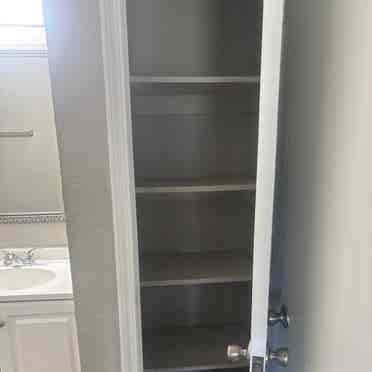 Looking for a roommate
