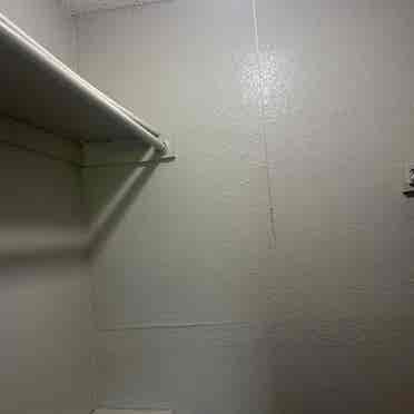 Looking for a roommate