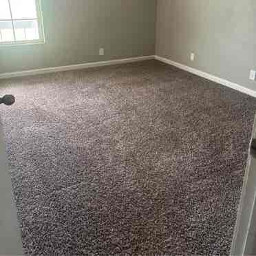 Looking for a roommate