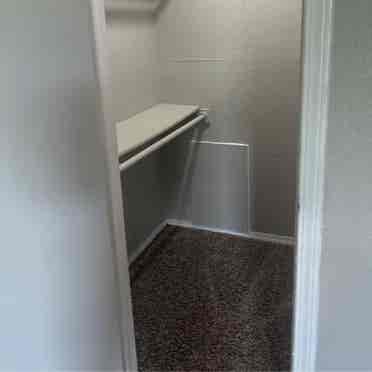Looking for a roommate