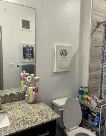 Room at lark! Available asap