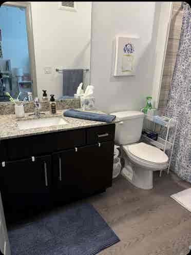 Room at lark! Available asap