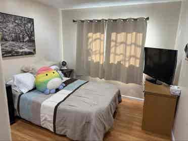 🏡Room available in Punahou Duplex