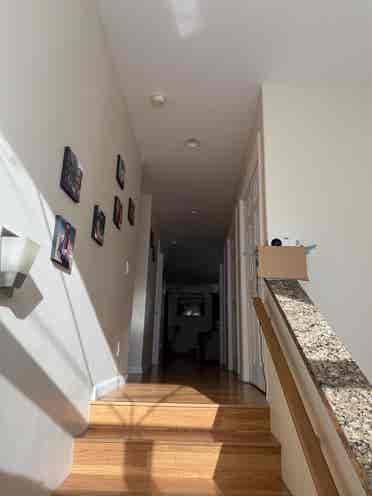 🏡Room available in Punahou Duplex