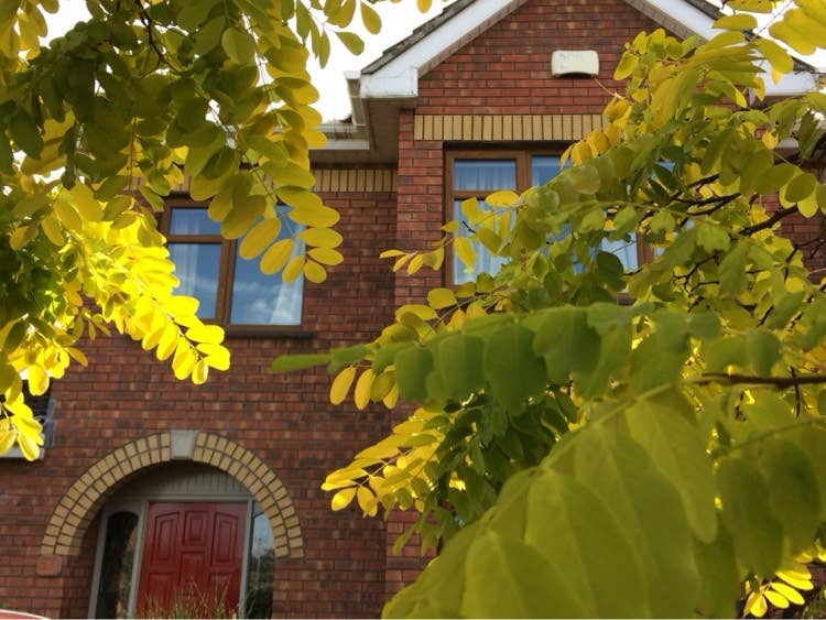 Double room in Navan, Co Meath