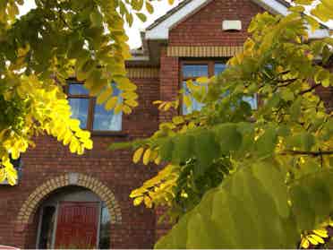 Double room in Navan, Co Meath