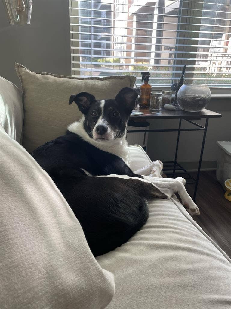 Seeking Someone to Takeover Lease!