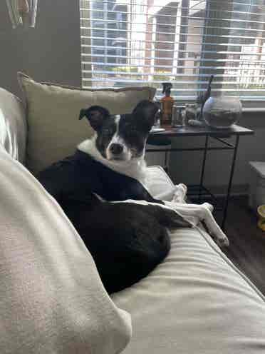 Seeking Someone to Takeover Lease!