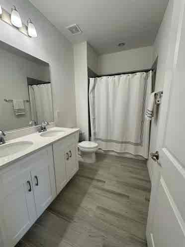 Looking for roommates.