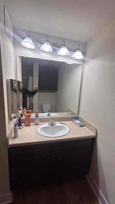 Roommate Wanted! Pri bed&bath