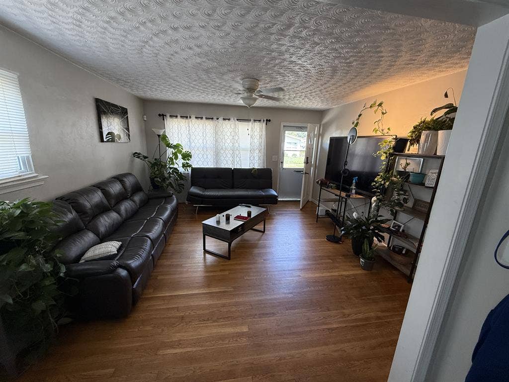 New Listing
