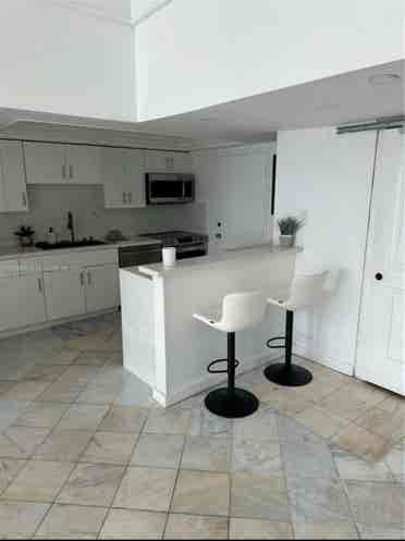 Penthouse Apartment