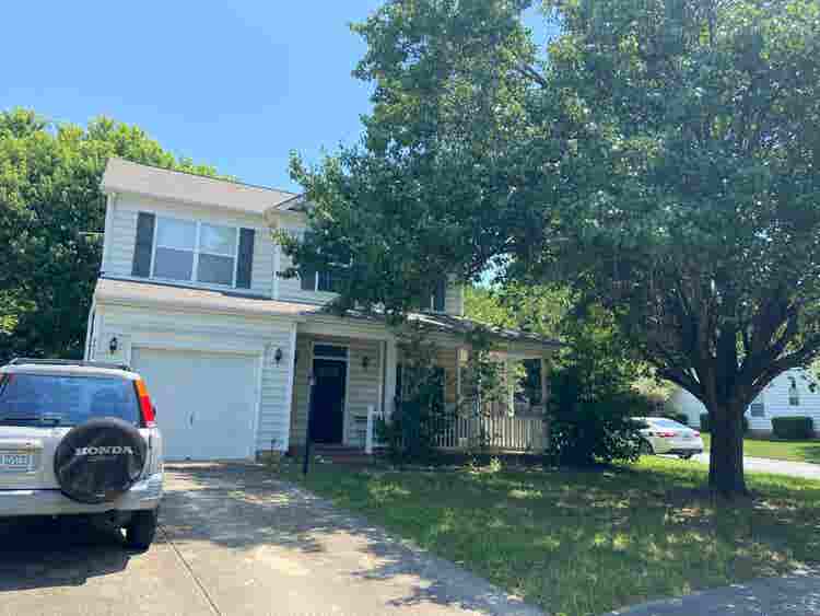Looking for a roommate