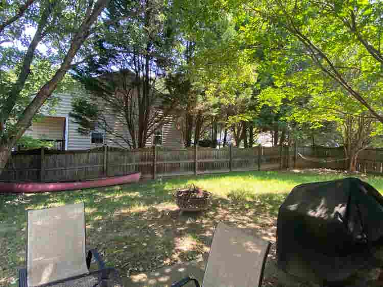 Looking for a roommate