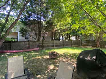 Looking for a roommate