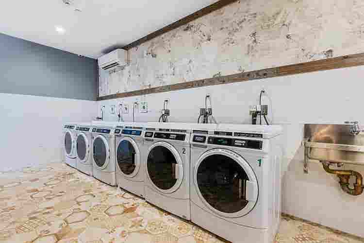 Look for a Roommate in Bushwick