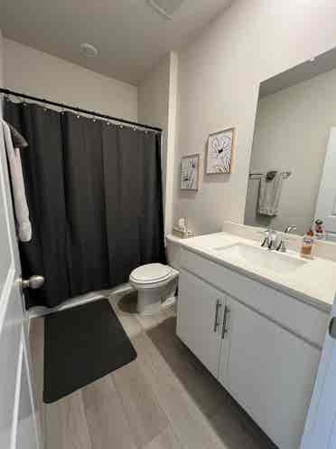 Looking for roommates - $/month
