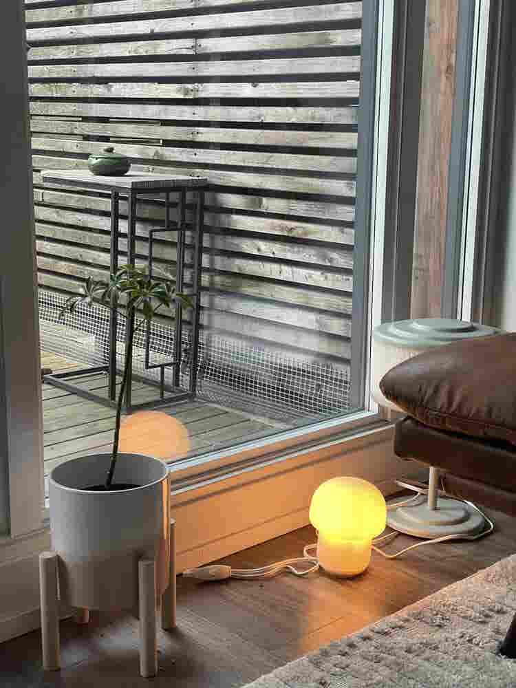 Roommate wanted in Downtown Toronto