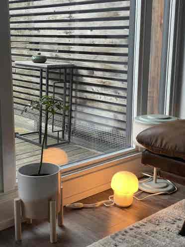 Roommate wanted in Downtown Toronto