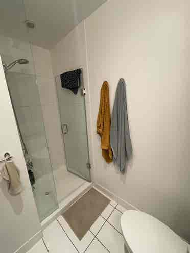 Roommate wanted in Downtown Toronto