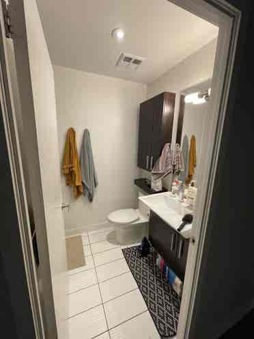 Roommate wanted in Downtown Toronto