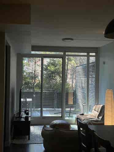 Roommate wanted in Downtown Toronto