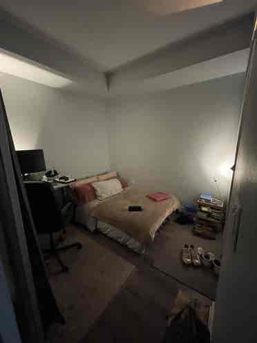 Roommate wanted in Downtown Toronto