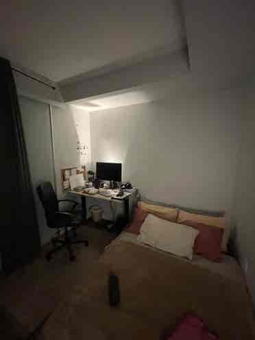 Roommate wanted in Downtown Toronto