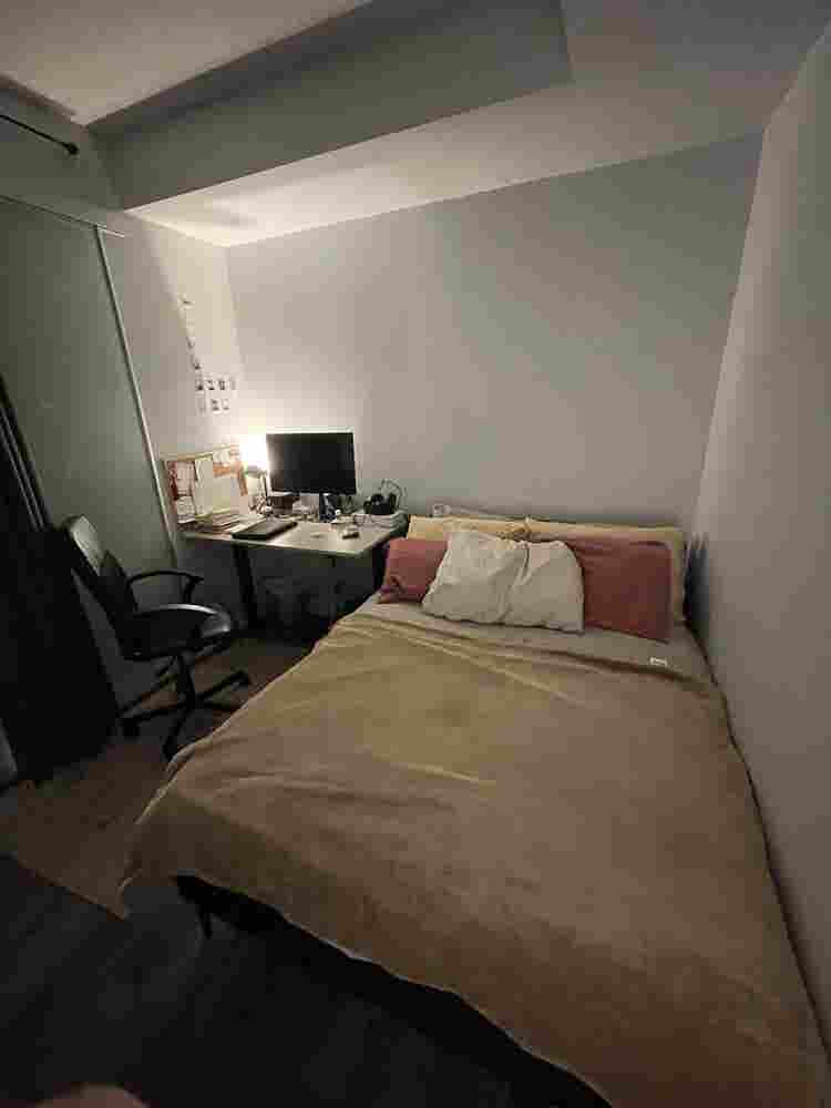 Roommate wanted in Downtown Toronto
