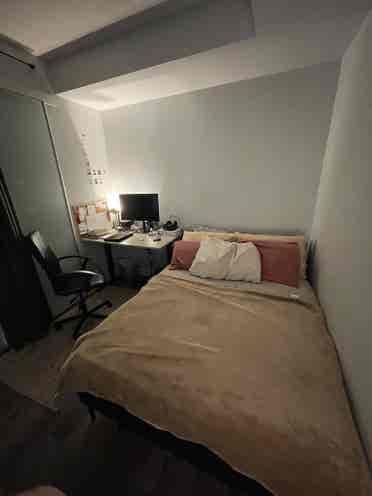 Roommate wanted in Downtown Toronto