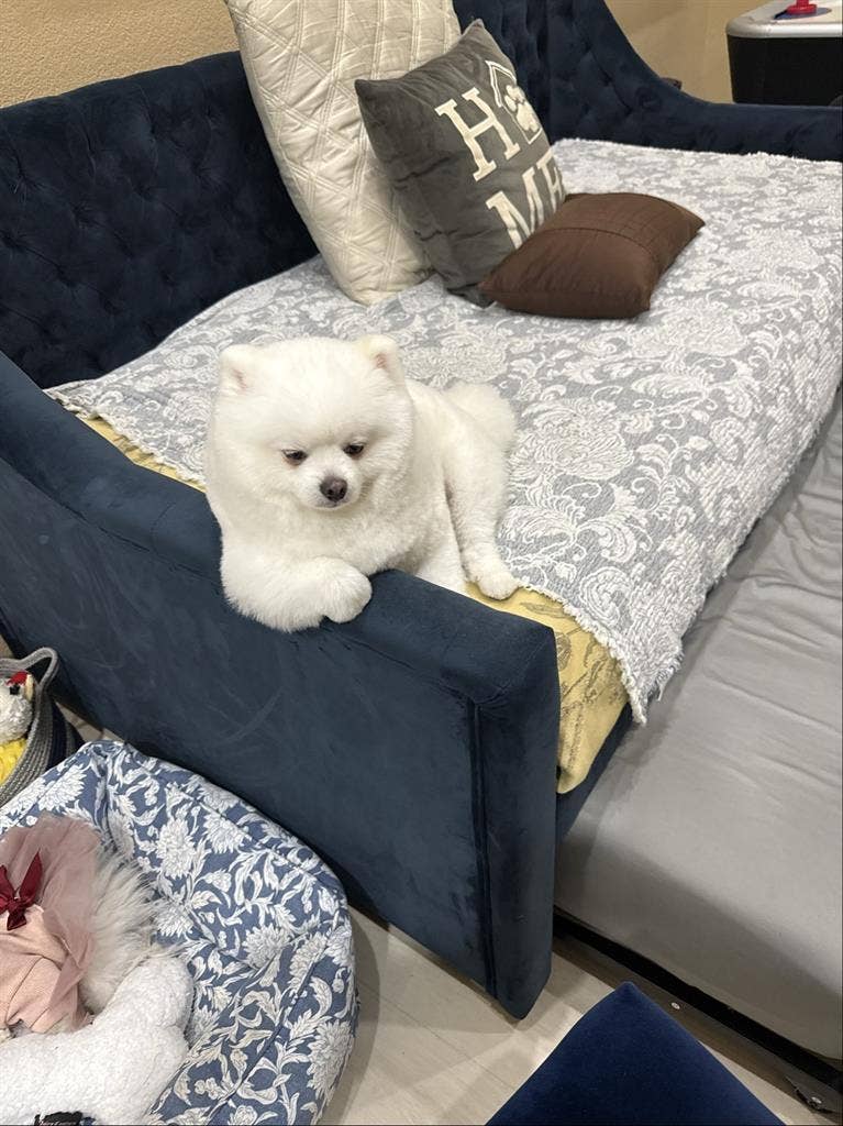 New Listing
