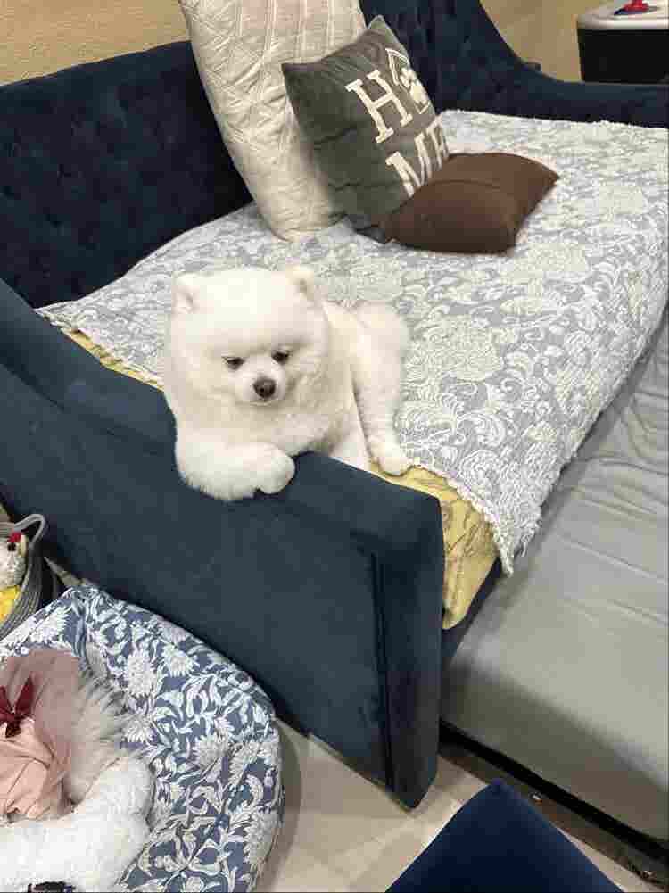 New Listing
