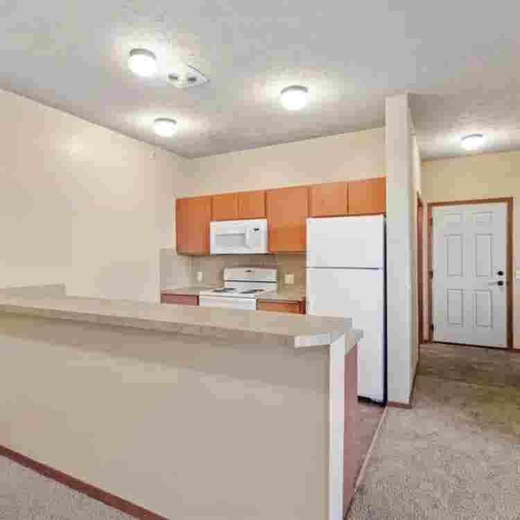 In search of a fourth roommate!